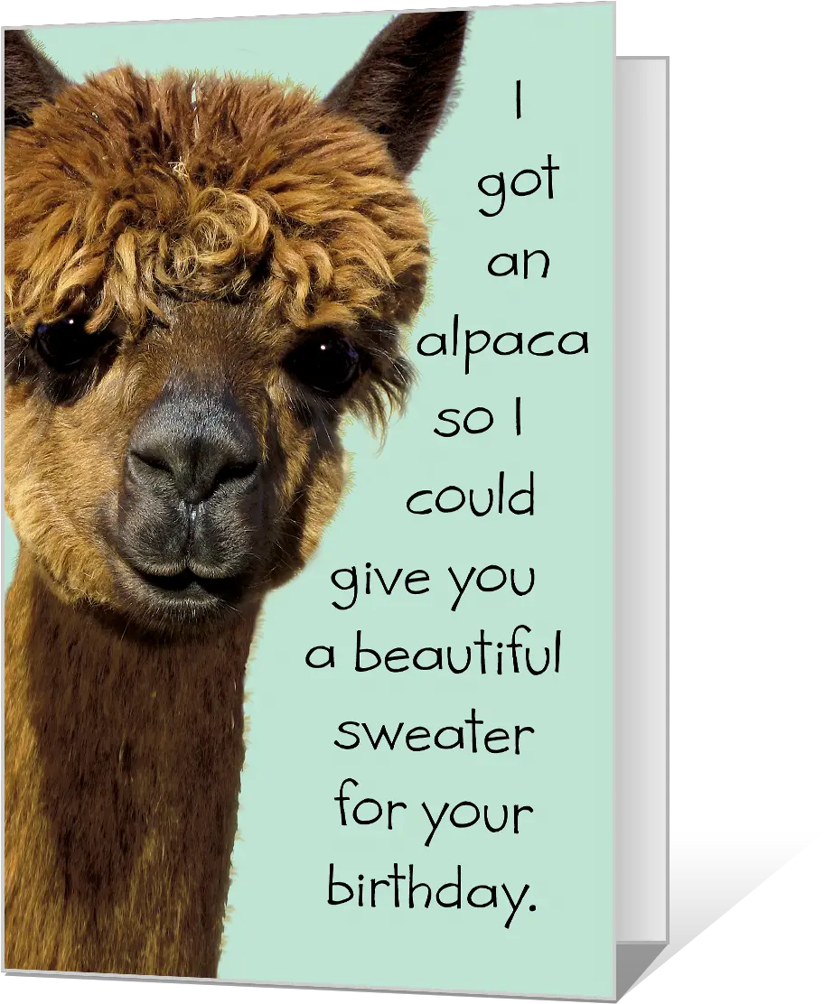  Birthday Alpaca Printable American Greetings Alpaca Png Alpaca Png