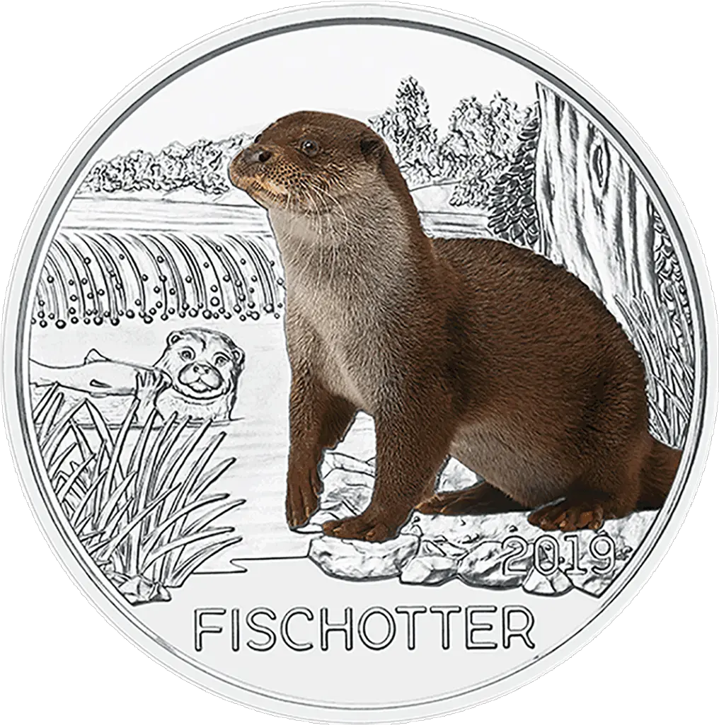  The Otter Otter Coin Png Otter Png