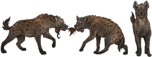  Hyena Transparent Background Png Lioden Hyena Hyena Png