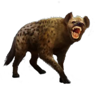  Download Free Png Hyena Photo Hyena Png Hyena Png