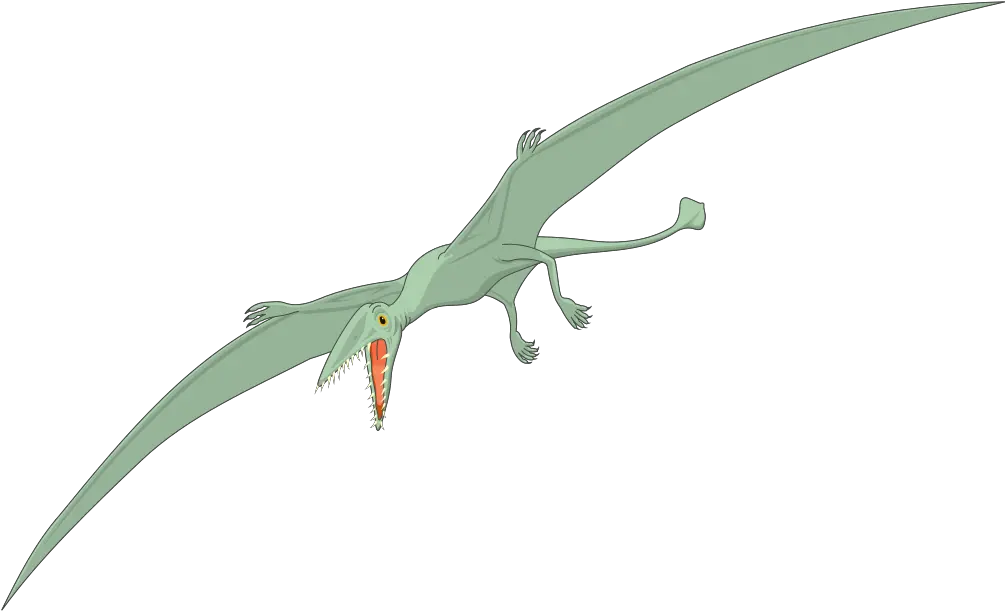  Fangs Clip Art Dinosaur Png Pterodactyl Png