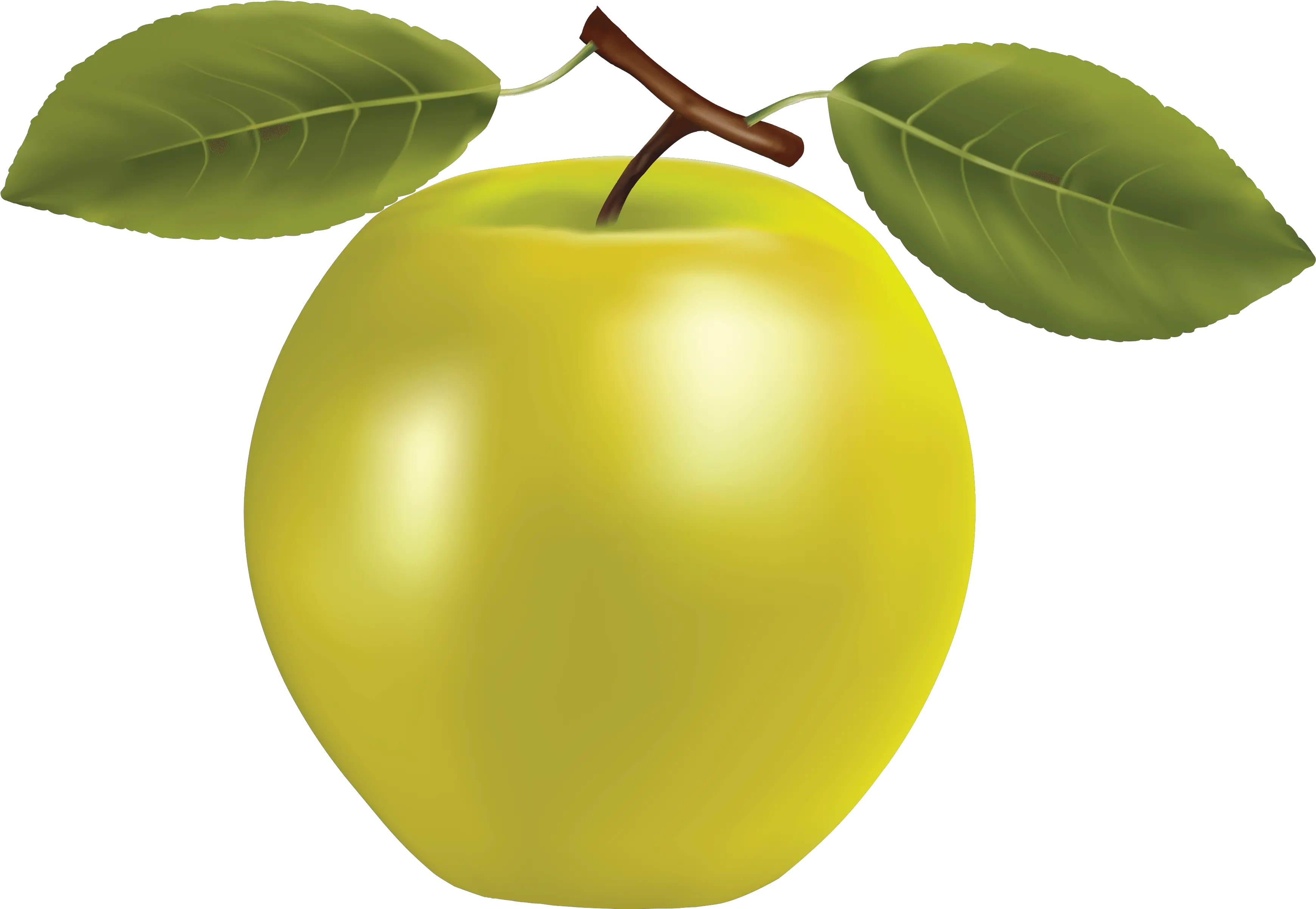  Png Apple Image Clipart Transparent All Kinds Of Fruits Apples Transparent Background