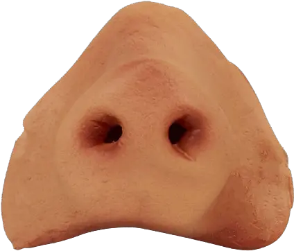  Nose Png 7 Image Pig Nose Nose Png