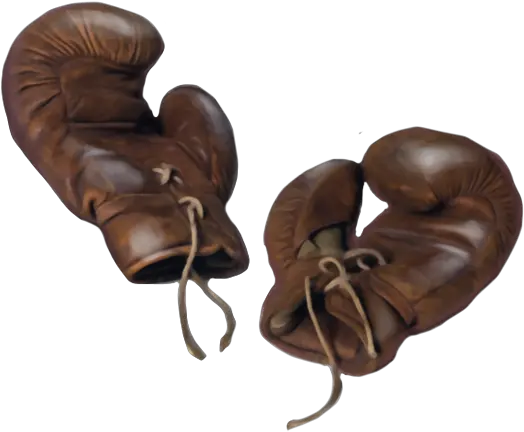  Boxing Gloves U2014 Woingear Png Glove