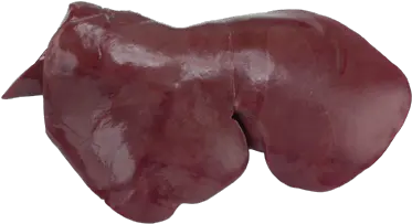  Sheep Liver Feoga Goat Liver Png Liver Png