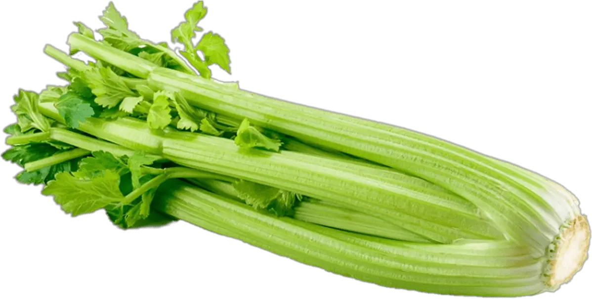  Celery Transparent Png Celery Transparent Png Celery Png