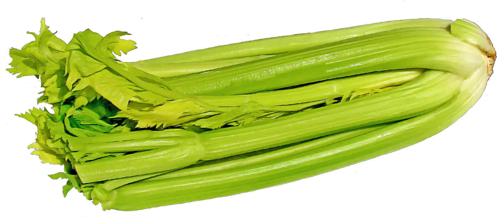  Green Celery Png Image Celery With Transparent Background Celery Png