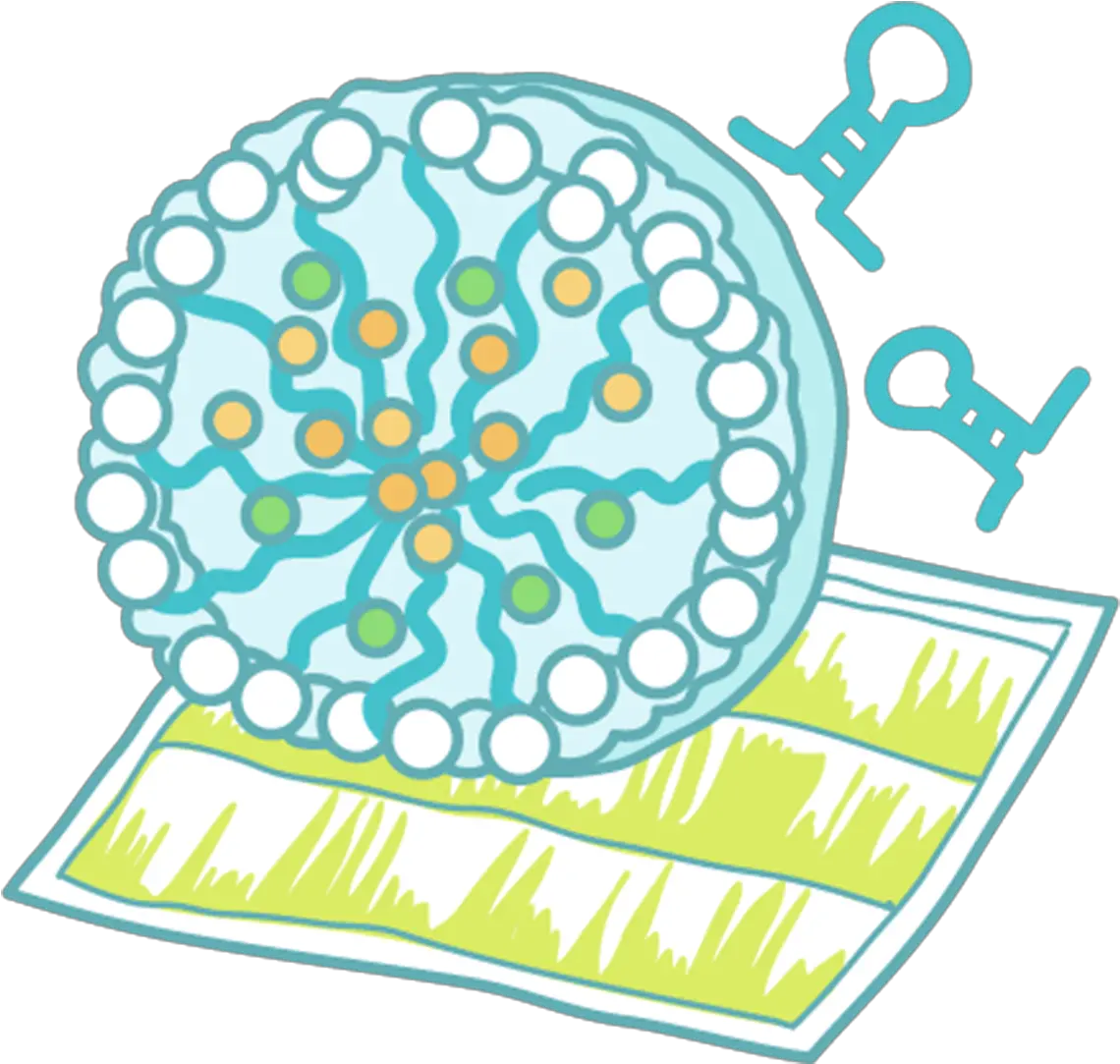  Rna Biofunction Laboratory Graduate School Of Frontier Dot Png Rna Icon