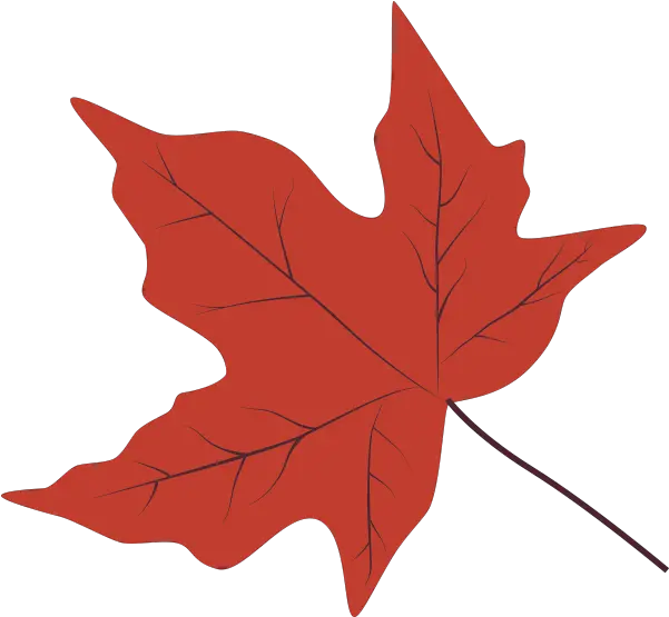  Leaf Id Clipart Sugar Maple Leaf Png Maple Png