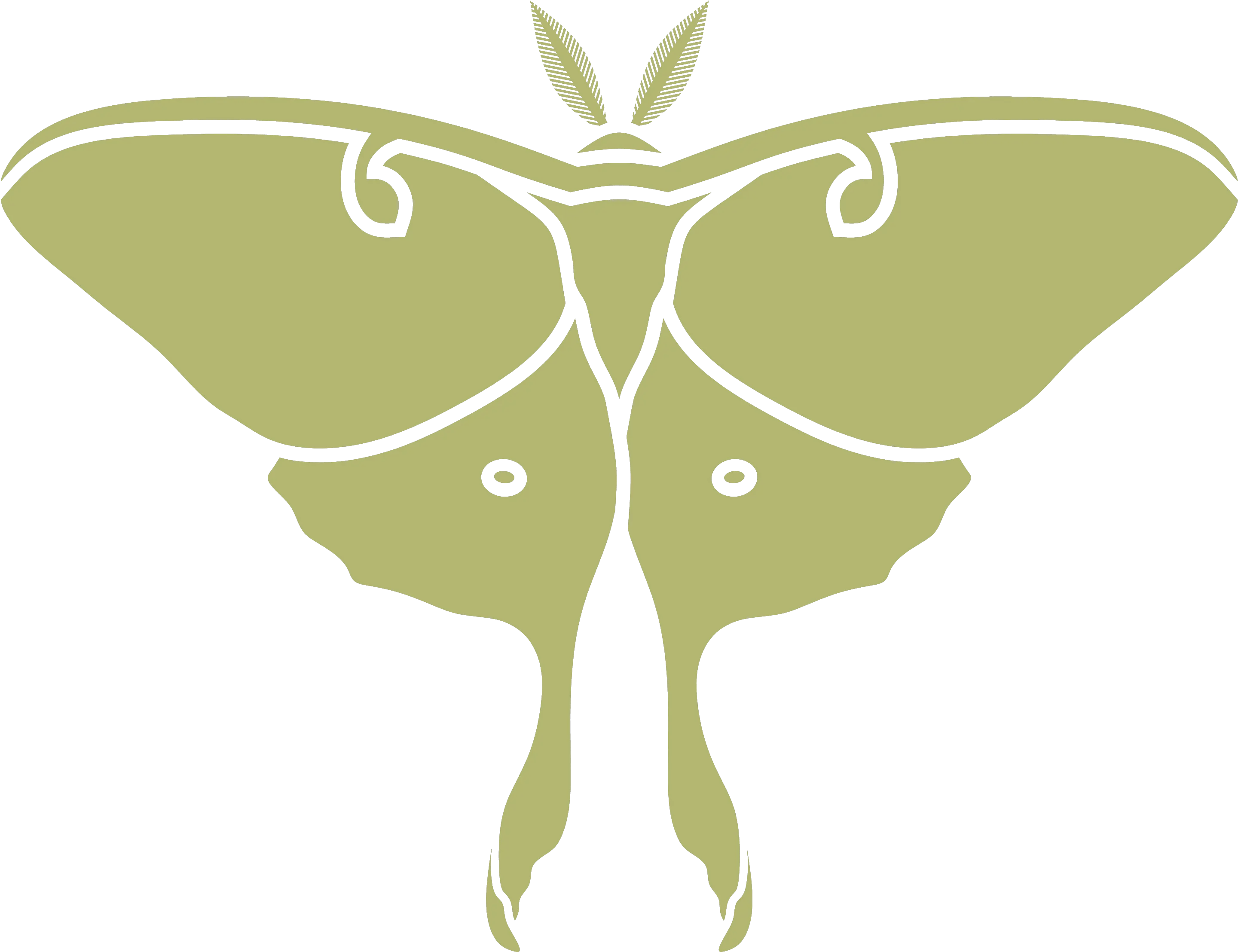  Ada Luna Moth Png Moth Icon