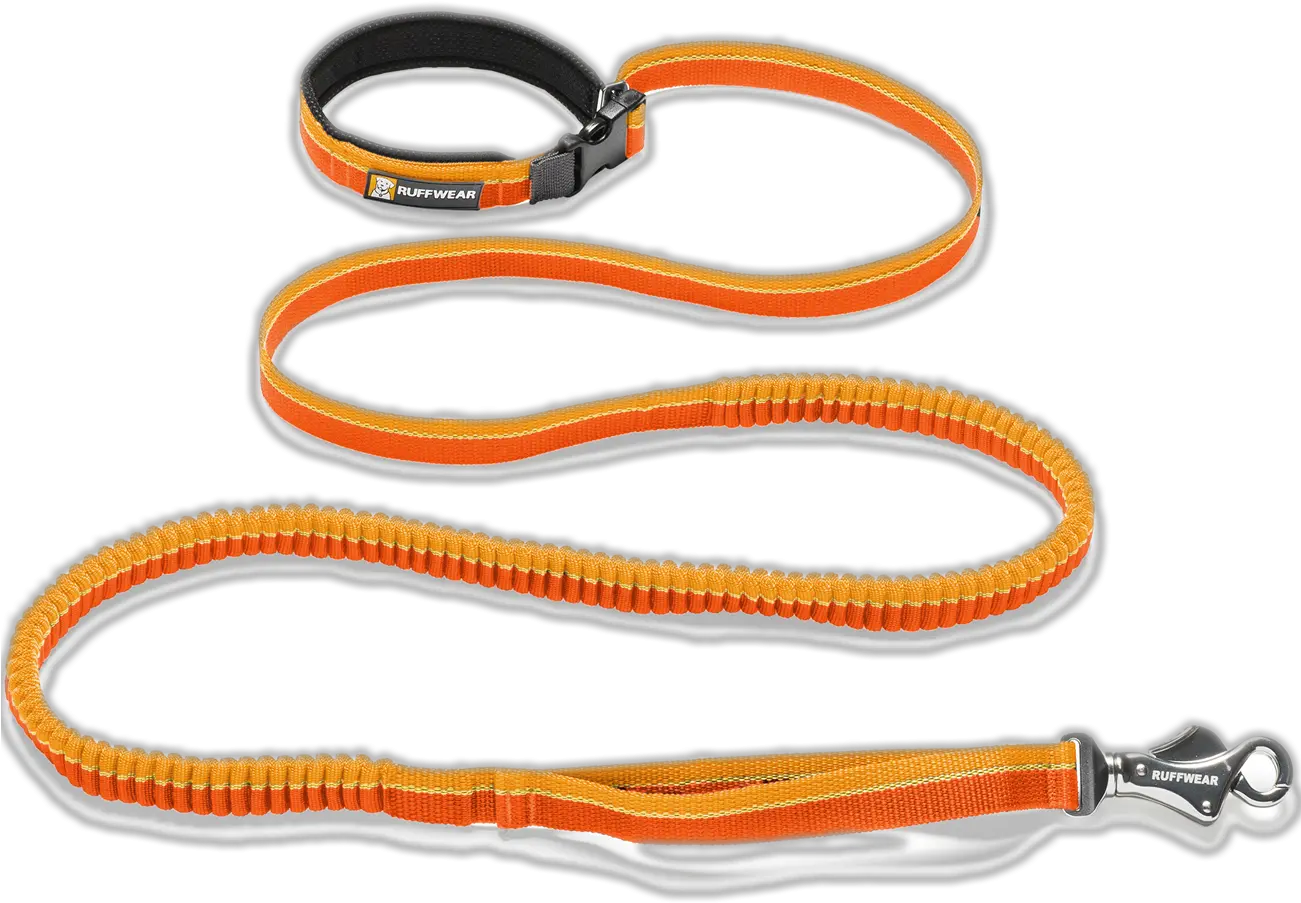  Leash Png Images Free Download Leash Collar Png