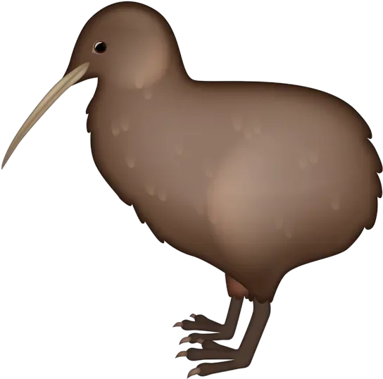  Kiwi Bird Emoji Kiwi Bird Emoji Png Kiwi Bird Png