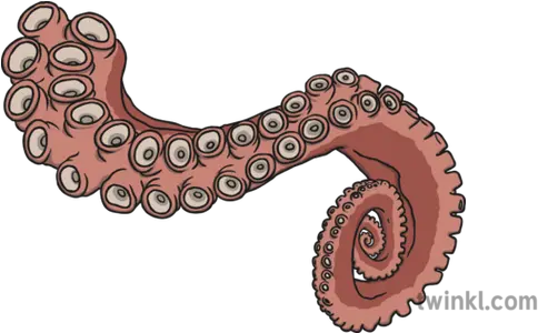  Tentacle Illustration Twinkl Earthworm Png Tentacle Png