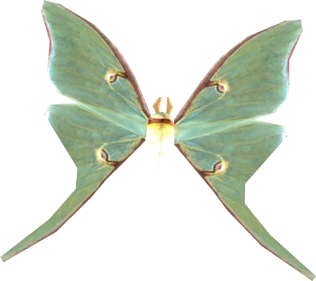  Luna Moth Transparent Luna Moth Png Moth Png