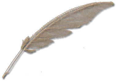  Quill Pen Png Feather Quill Pen Png