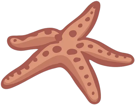  Transparent Png Svg Vector File Starfish Starfish Transparent