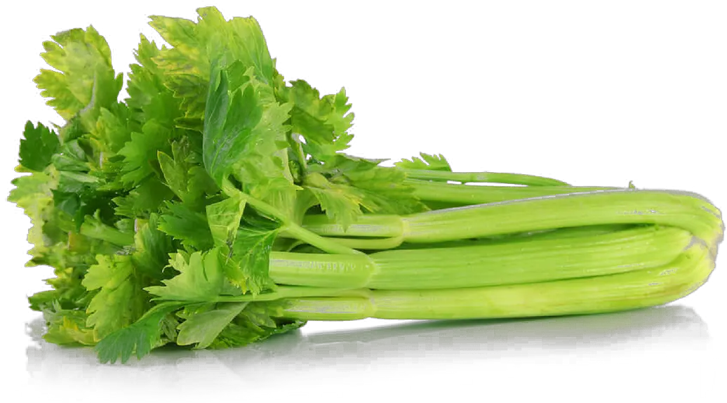  Download Celery Png File Transparent Background Celery Png Celery Png