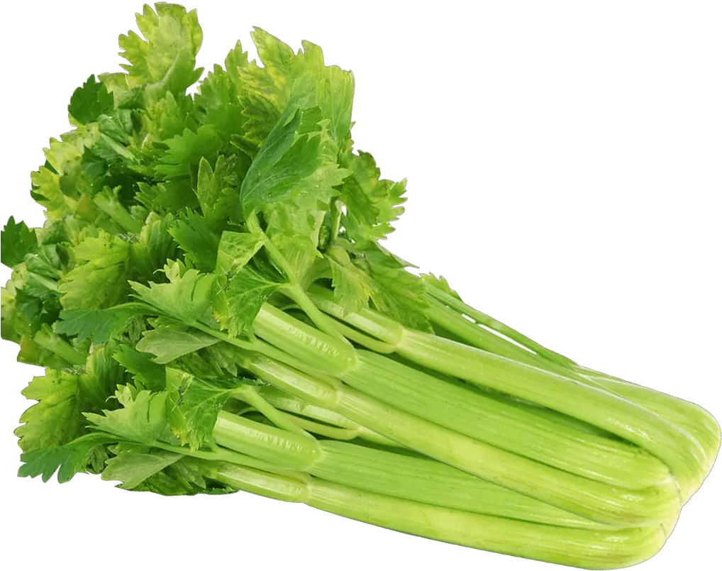  Celery Seeds 100 Vegetable Transparent Background Celery Png Celery Png