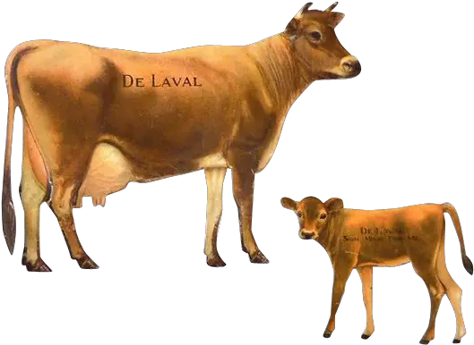  Animal Cowfreepngtransparentbackgroundimagesfree Cow And Calf Png Cow Transparent