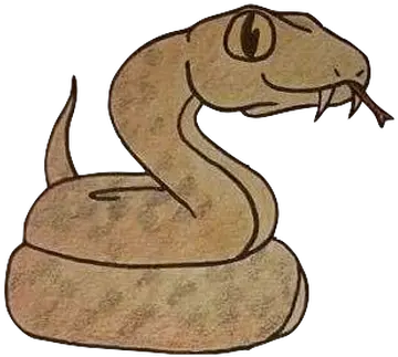  Home Piperspassport Serpent Png Cartoon Snake Png