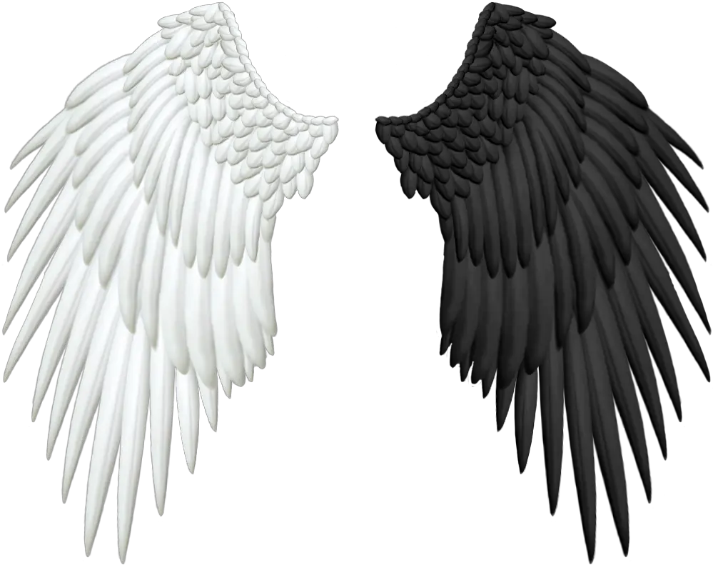  Half Wings Png Transparent Black And White Angel Wings Wing Png