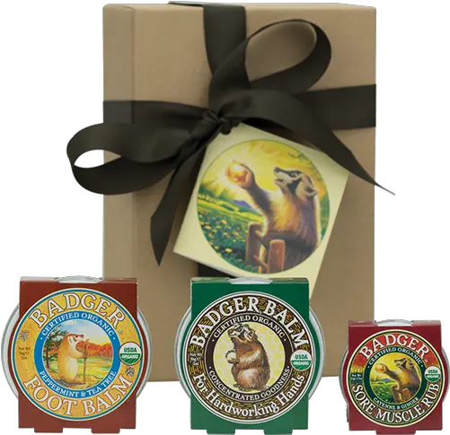  Gift Set Hardworking Badger Holiday Party Favor Png Gift Box Png