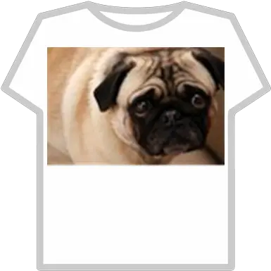  Sad Dog Roblox T Shirt Roblox Kawaii Png Sad Dog Png