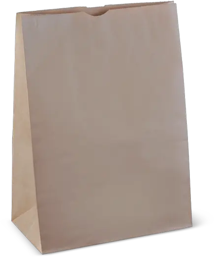  Download Free Png Brown Paper Bag Construction Paper Paper Bag Png