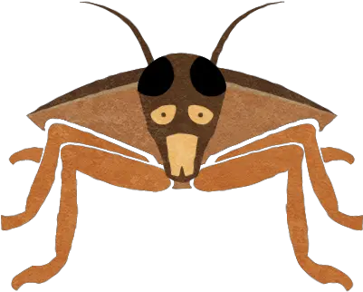  Qetportraits Hornet Png Roach Png