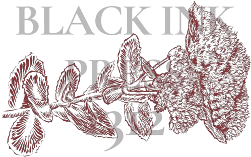  Black Ink Press 1312 Png Red Border