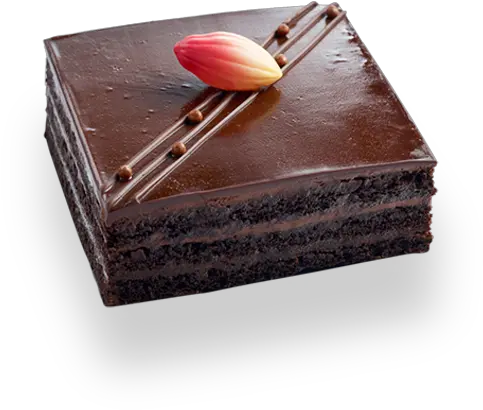  Chocolate Fudge Sachertorte Png Chocolate Cake Png