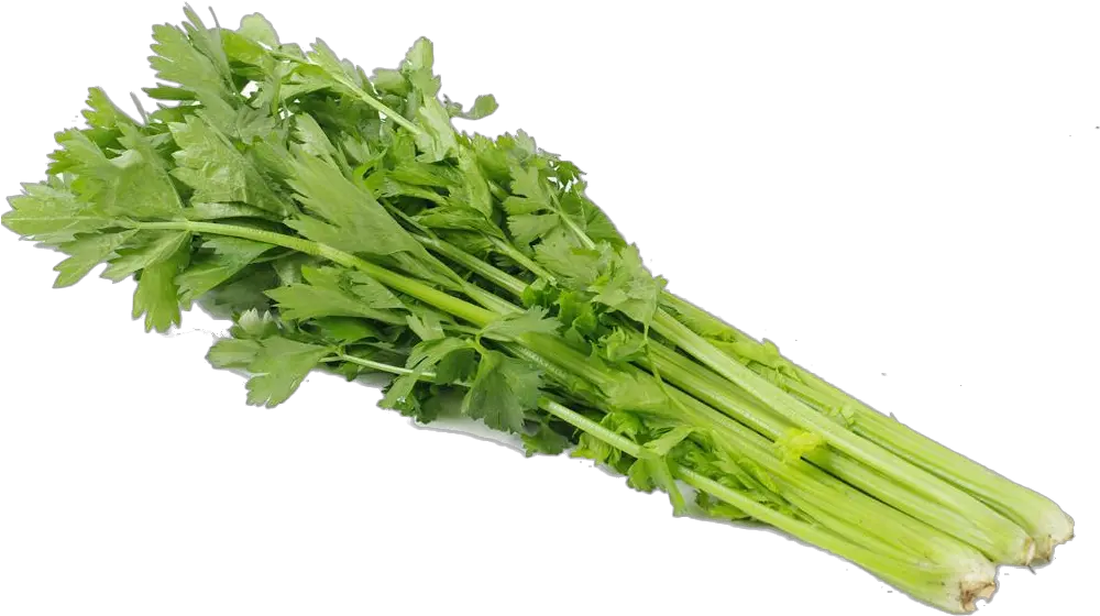  Download Celery Transparent Green Full Size Png Celery Png Transparent Celery Png