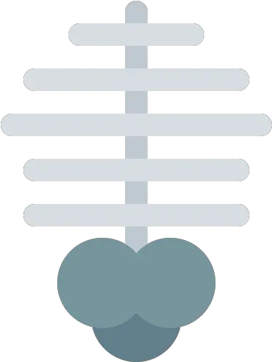  Rib Cage Parallel Png Rib Cage Png