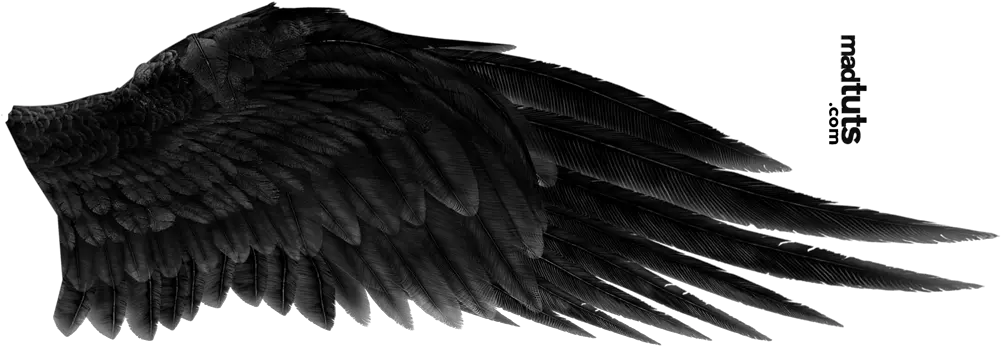  Download Angel Wing Png Black Angel Wings Png Wing Png