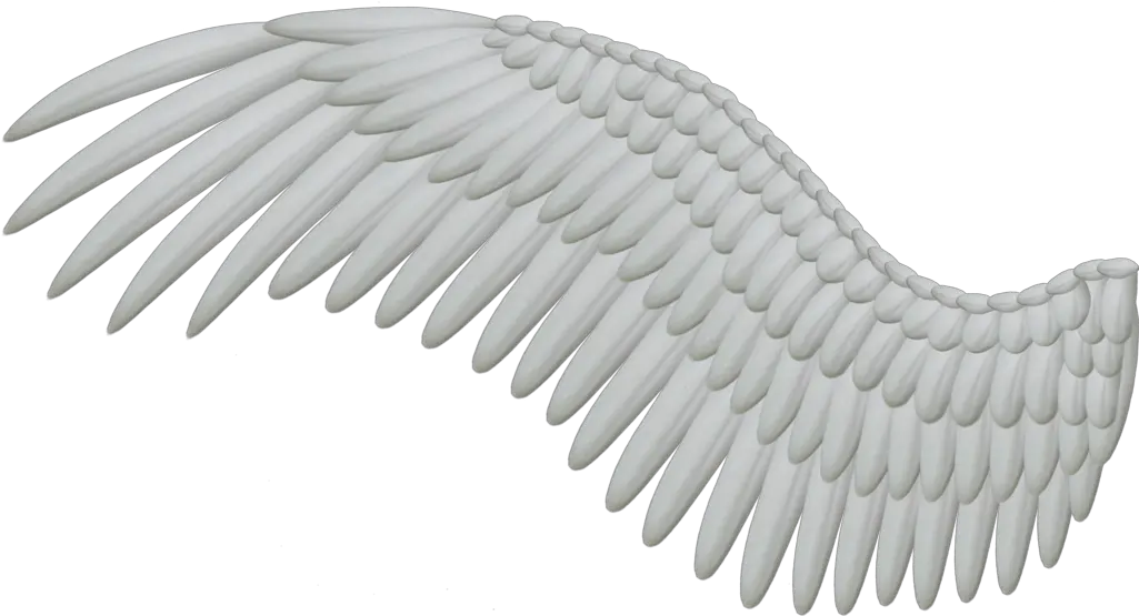  Wings Png Hd Angel Wing Png Wing Png