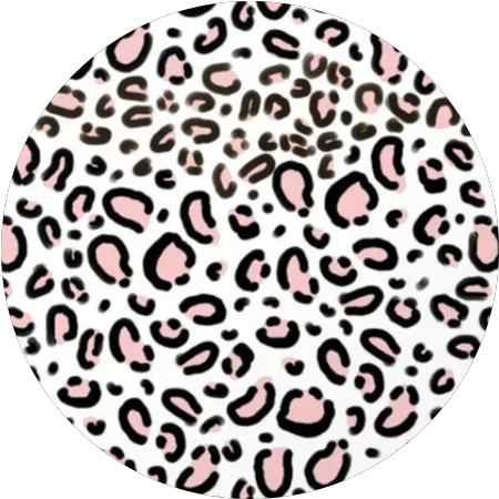  Leopard Leopardprint Icon Sticker By Tabi Cheetah Print White Background Png Leopard Icon