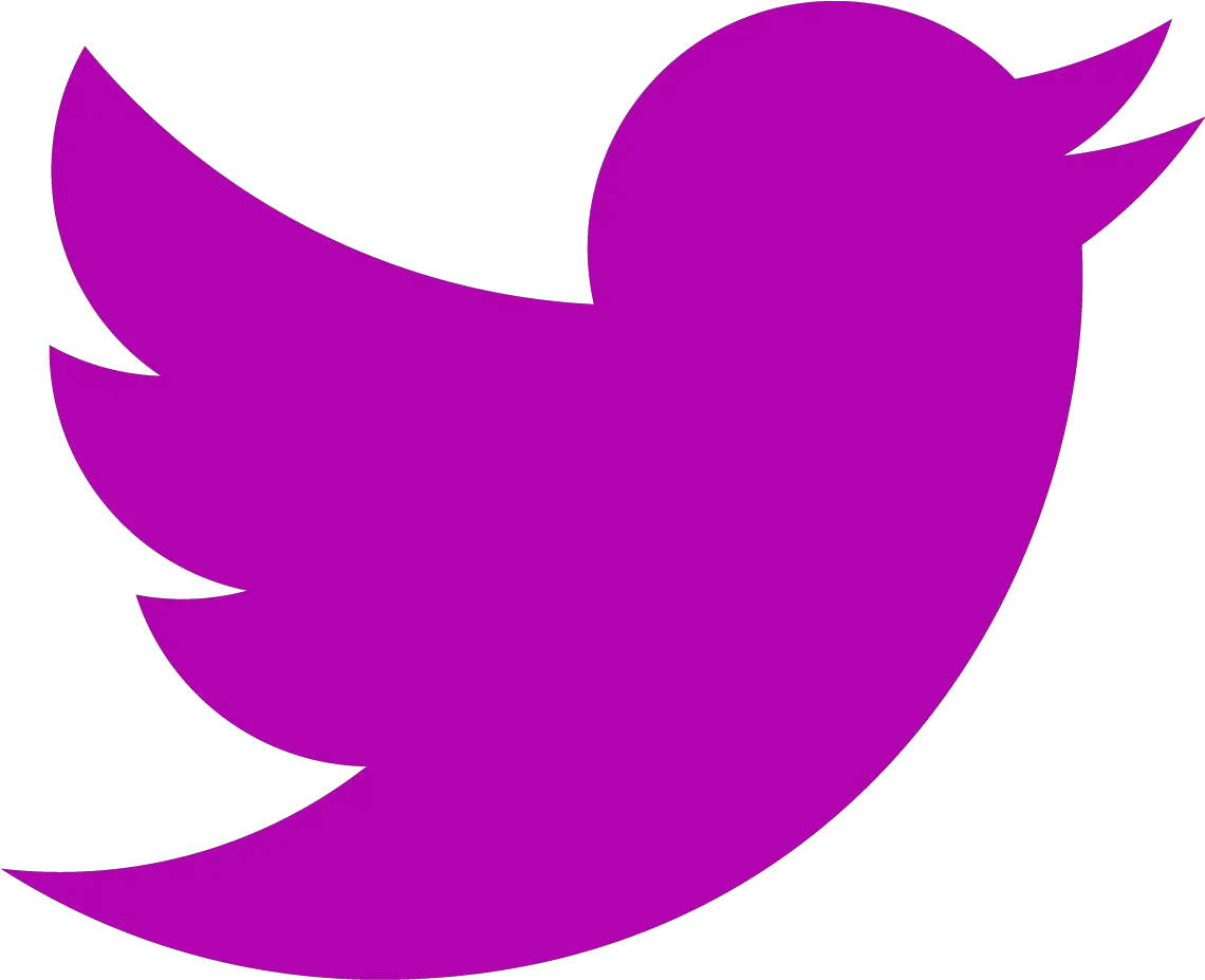  Png Twitter Icon 1600 Camversity Girls Twitter Logo Hd Twiter Logo Png