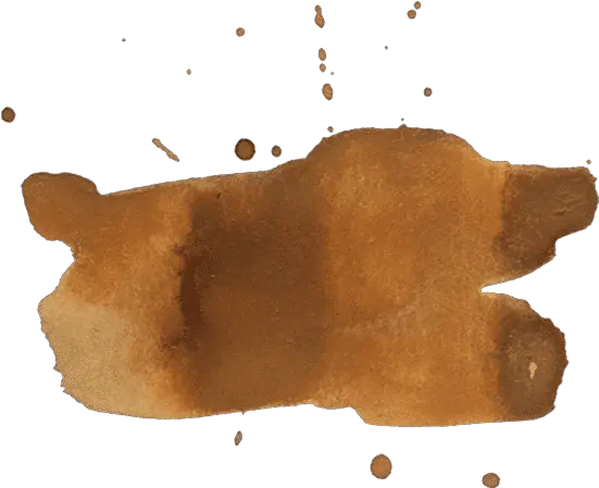  Free Flatworm Png Coffee Stain Png