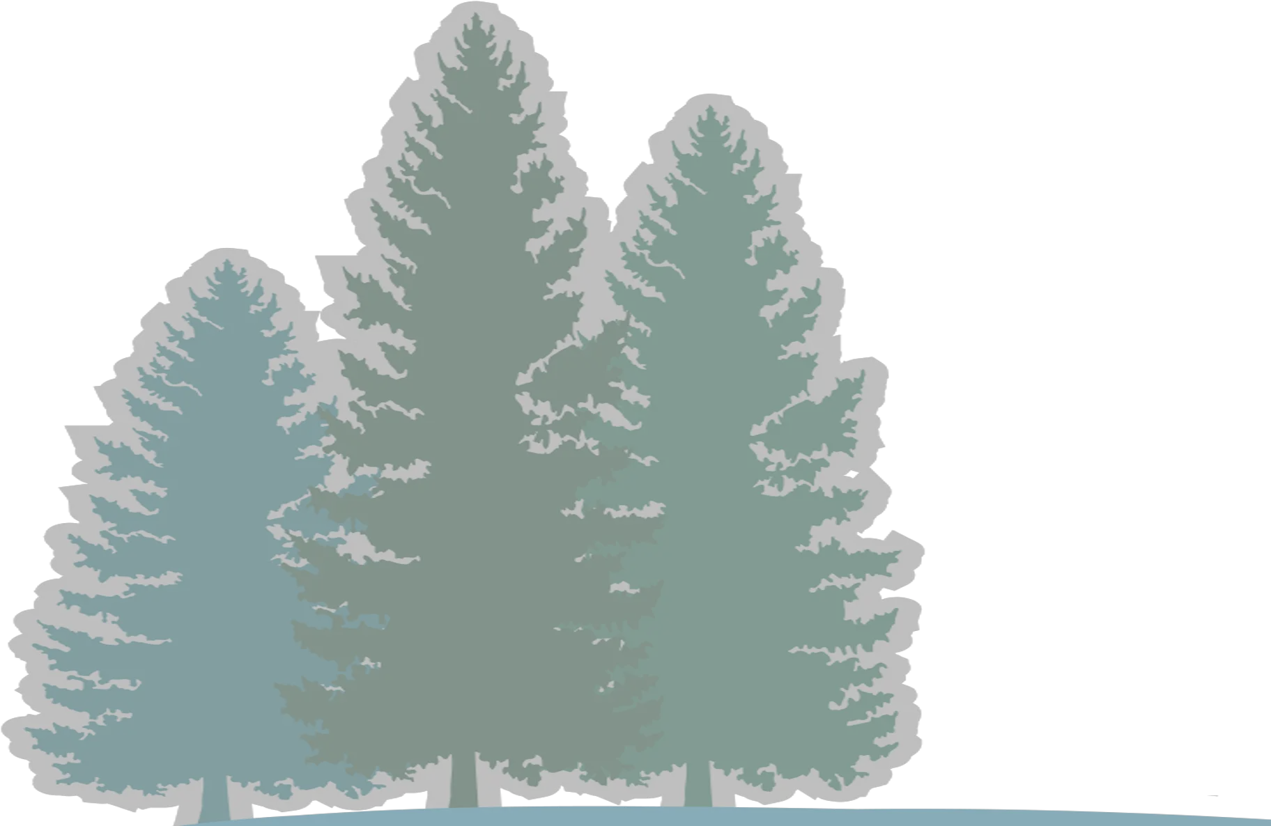  Download Hd Pine River Forest Background Colorado Spruce Christmas Tree Png River Transparent Background