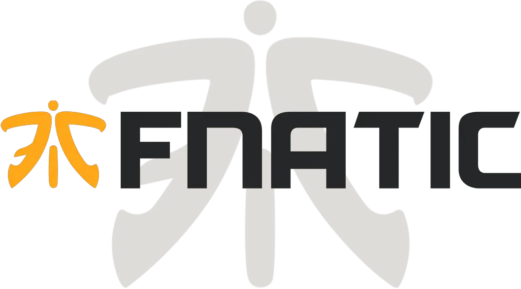  Fnatic Logo Png Image Fnatic Amd Logo Png