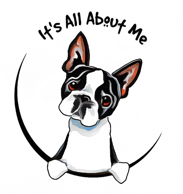  Boston Terrier T Cartoon Boston Terrier Drawing Png Boston Terrier Png