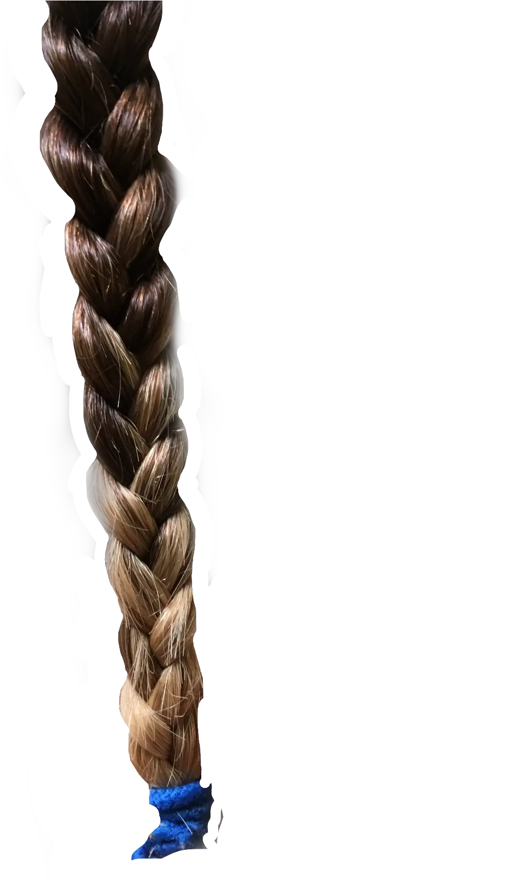  Download Free Png Hd Hair Braid Ombre Interesting Transparent Braid Png Wig Png