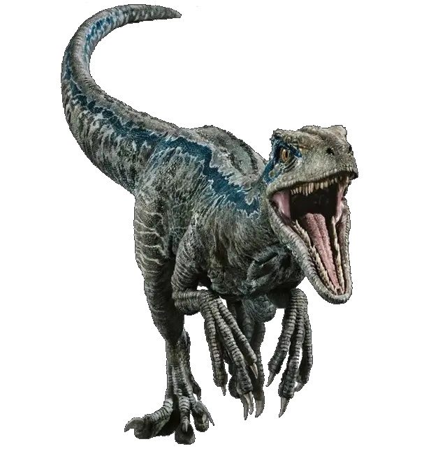  Fallen Kingdom Blue The Velociraptor V2 Velociraptor Blue Png Jurassic World Png