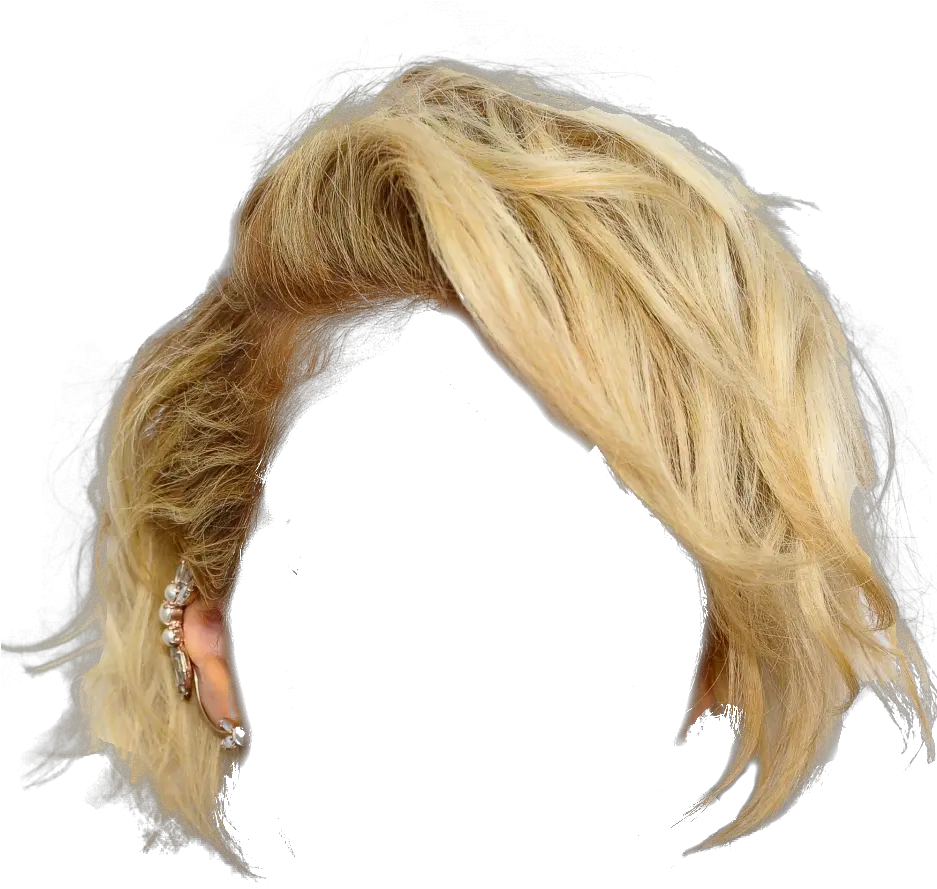  Hair Wig Png Transparent Background