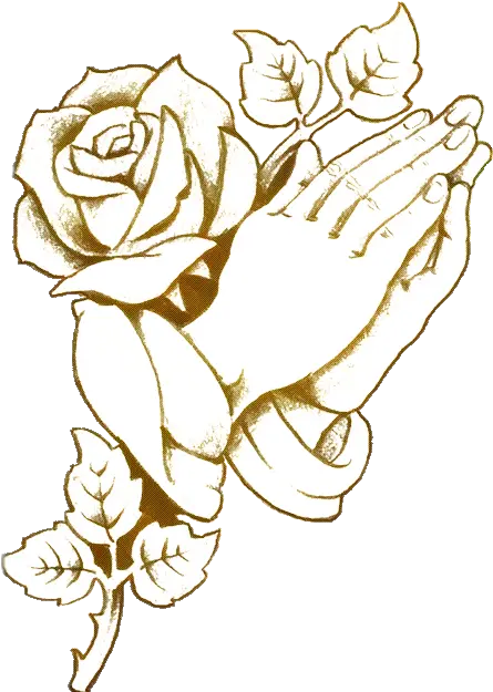  Download Report Abuse Praying Hands With Rose Full Size Praying Hands With Rose Png Praying Hands Png