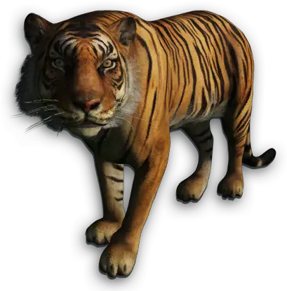  Download Far Cry 4 Tiger Png Image With No Background Sumatran Tiger Far Cry 3 Tiger Png