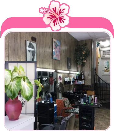  New Image Unisex Beauty Salon Hilo Hi Flowerpot Png Salon Png