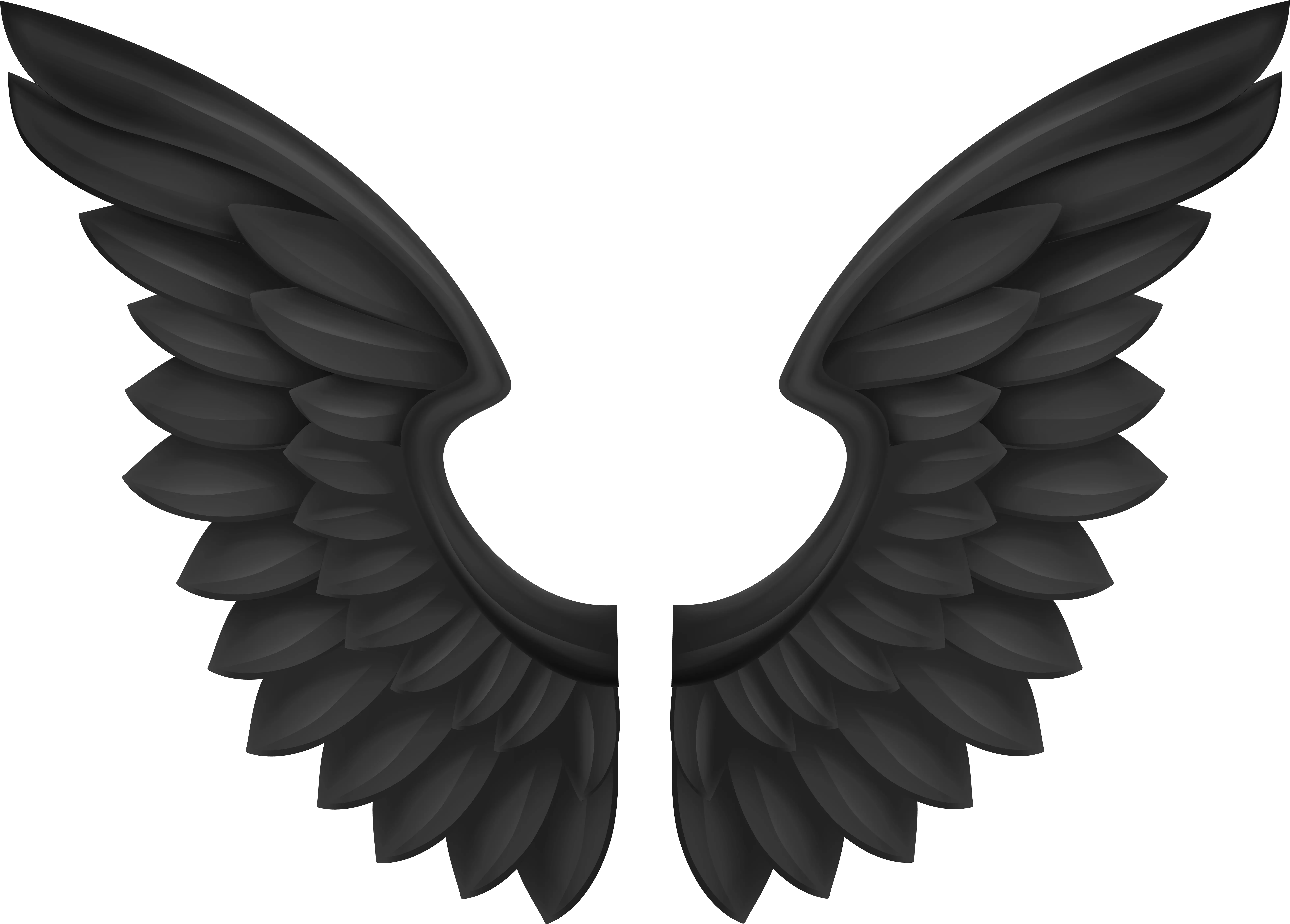  Wings Transparent Clipart Png Wing