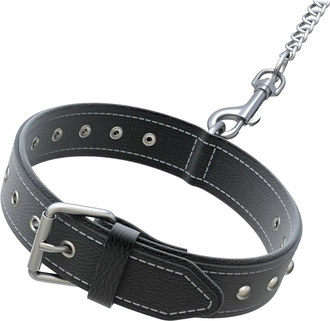  Dog Collar Png Dog Collar 3d Model Collar Png