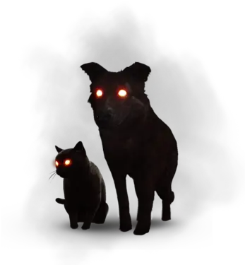  The Black Cat And Dog Witcher Wiki Fandom Black Cat And Dog The Witcher Png Black Dog Png